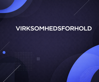 Virksomhedsforhold